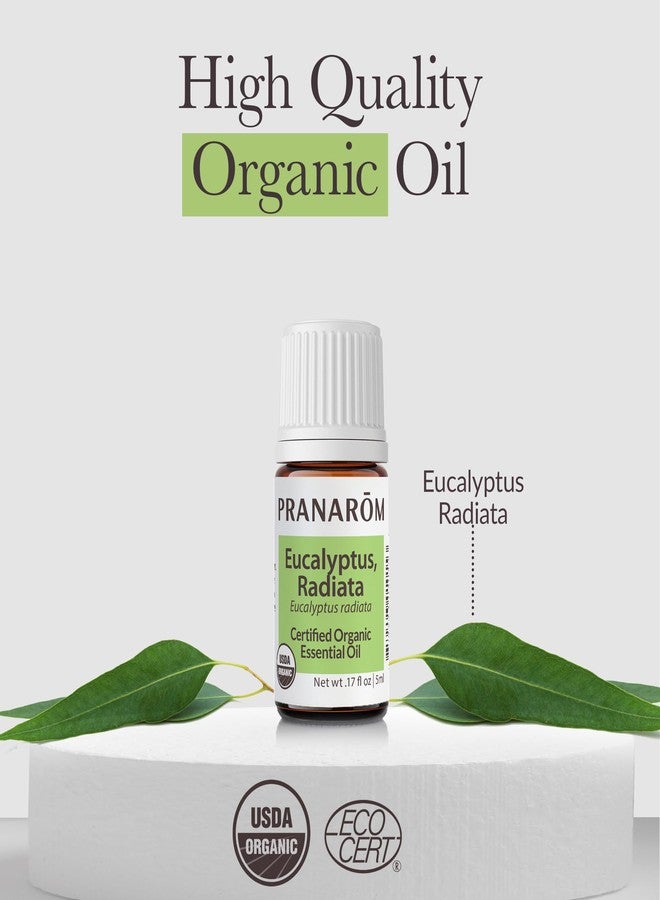 Pranarom - Eucalyptus Radiata Essential Oil 15ml - Moisturizing Skin - Supports Respiratory Health - Essential Oil for Diffuser - 100% Pure and Organic - Image 4